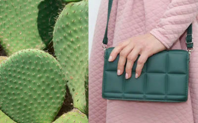 What is Sustainable Bag Manufacturing and Why It Matters