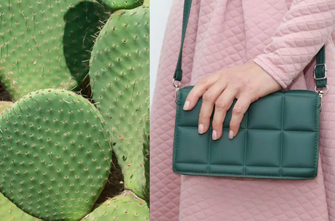 What is Sustainable Bag Manufacturing and Why It Matters
