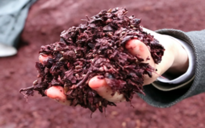 What is a long wallet OEM made from grape leather originating from the wine industry?